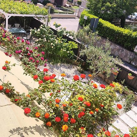 Villa Marianna Garda Lake ペスキエーラ・デル・ガルダ エクステリア 写真