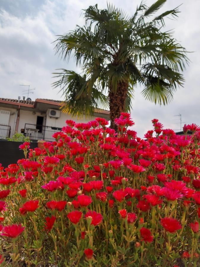 Villa Marianna Garda Lake ペスキエーラ・デル・ガルダ 部屋 写真